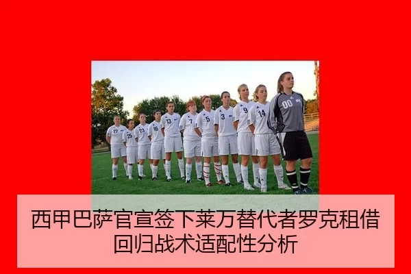 xi-jia-ba-sa-guan-xuan-qian-xia-lai-wan-ti-dai-zhe-luo-ke-zu-jie-hui-gui-zhan-shu-shi-pei-xing-fen-xi-2-945.jpg